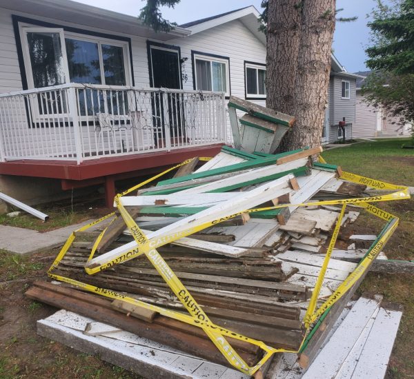 135a2586-d405-48ae-8c56-a403c0e5be29