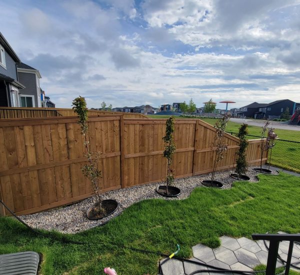 6c0a1ba8-2913-42cd-bfab-a97453286d7c